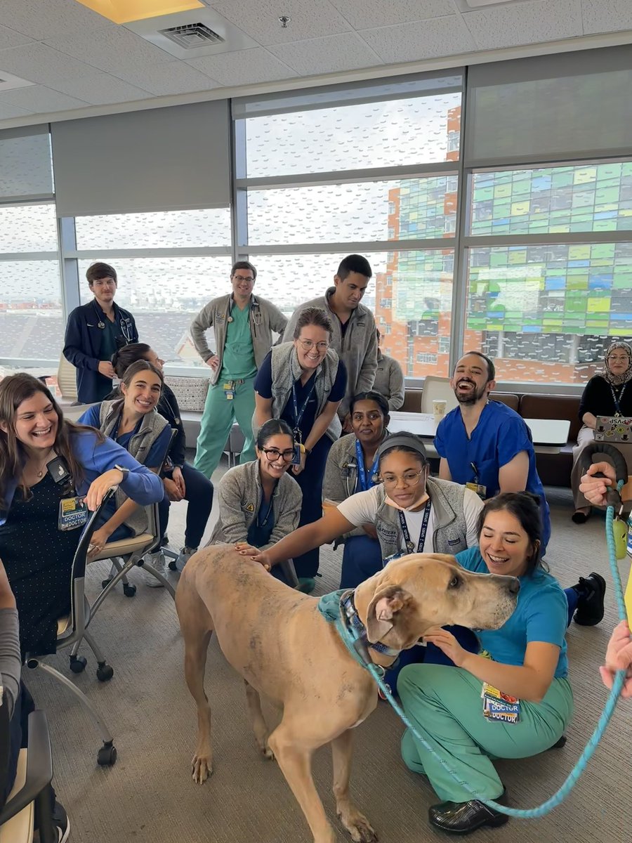 Tammy Brady tweet media