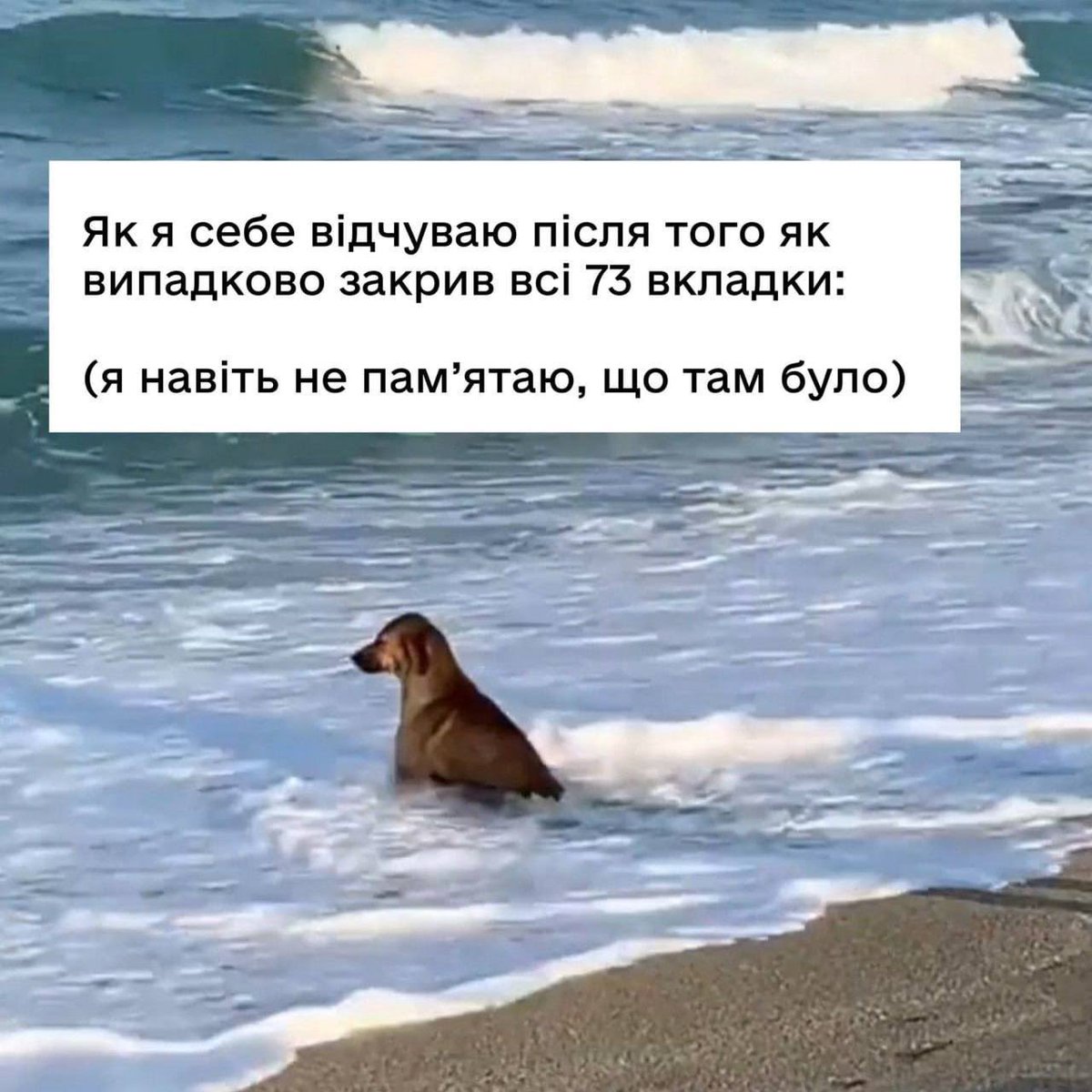 Annyaaa_v's tweet photo. То є історія про моє робоче вікно🥲 https://t.co/AGwqM45GWH