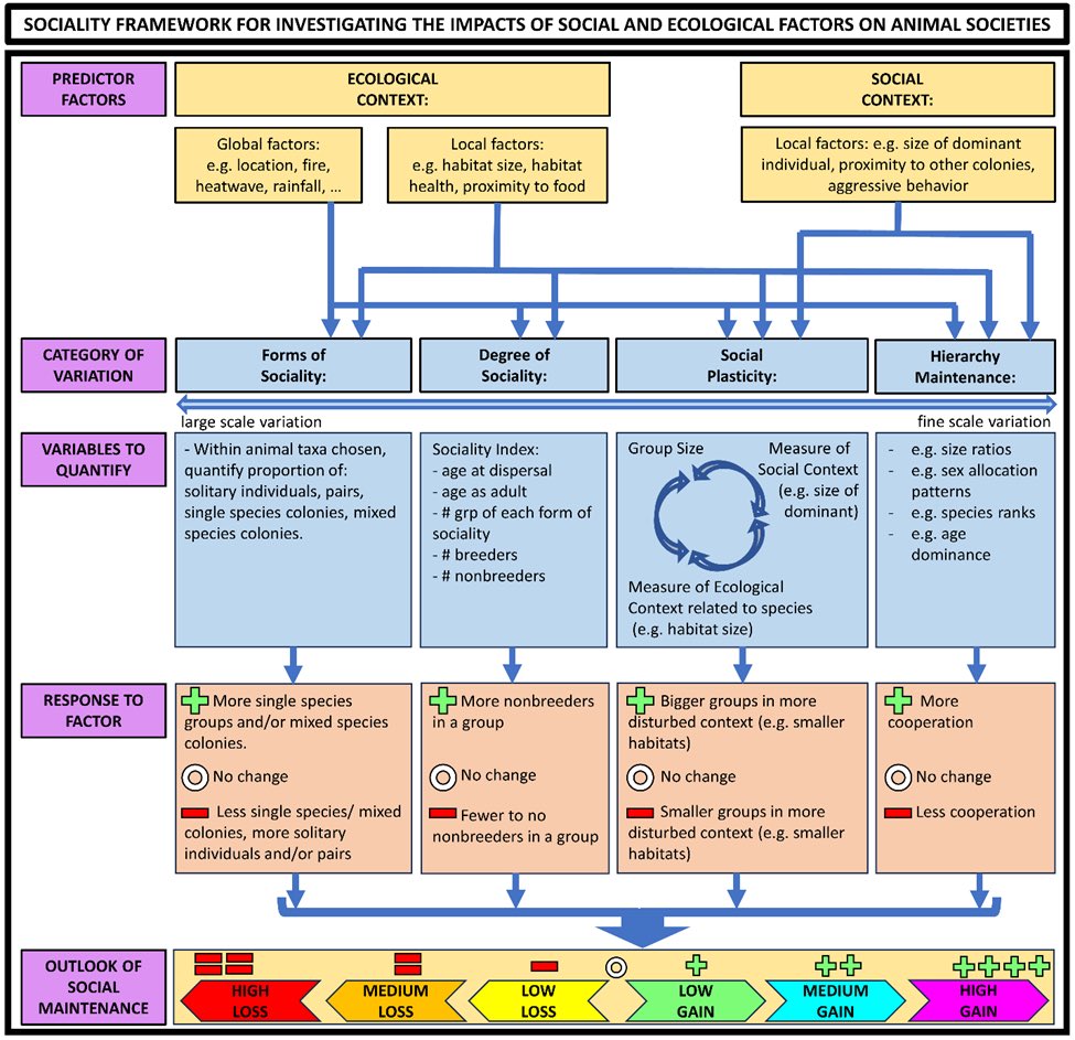 Catheline Froehlich🐠🎙️🐡|FishEcologist|Podcaster tweet media