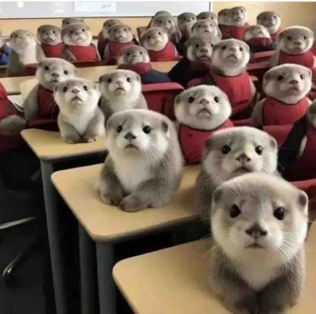 Guarromantico_'s tweet image. La facultad de Nutrición.