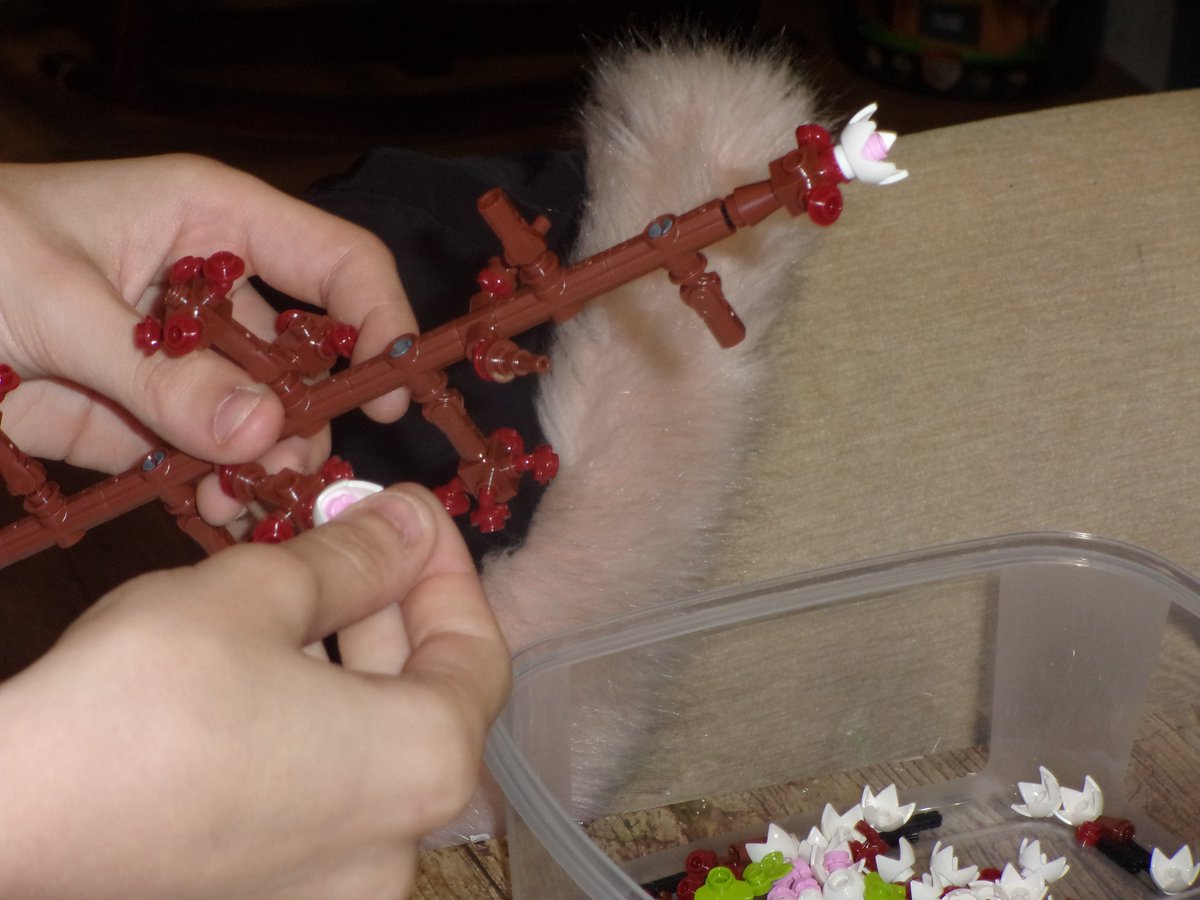 folkestoneshed's tweet image. We don't usually buy plastic but our new nature themed lego is going down a treat. Introducing nature in different ways!