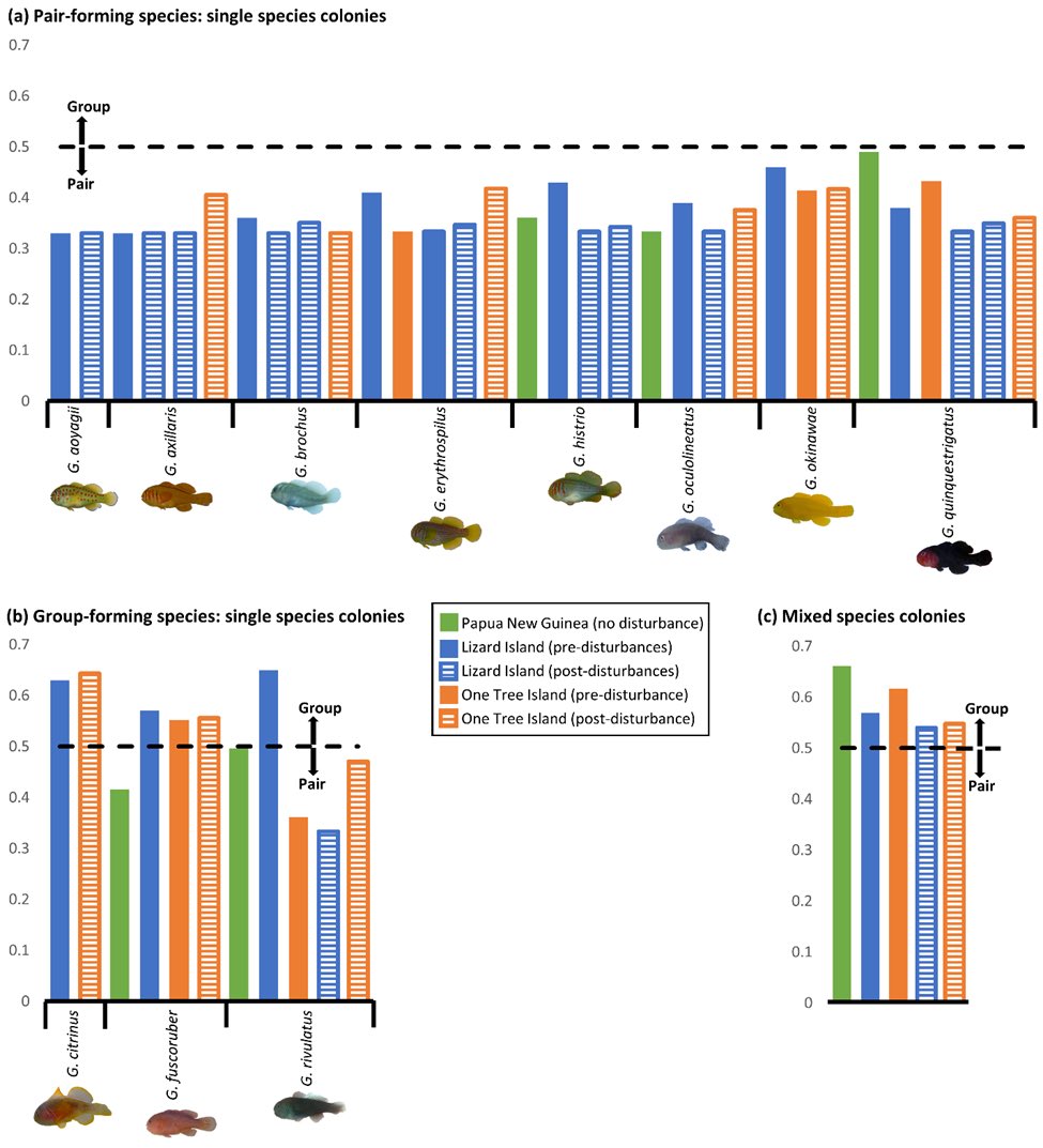 Catheline Froehlich🐠🎙️🐡|FishEcologist|Podcaster tweet media