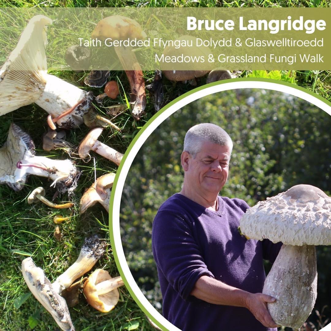 2 days to go until UK Fungus Day 🍄🍄

Join us on Saturday 5th of October as we celebrate and delve into the fascinating world of fungi. We’ve got an amazing line up of experts giving a series of walks and talks on fungi!
tinyurl.com/ezf4vxfs