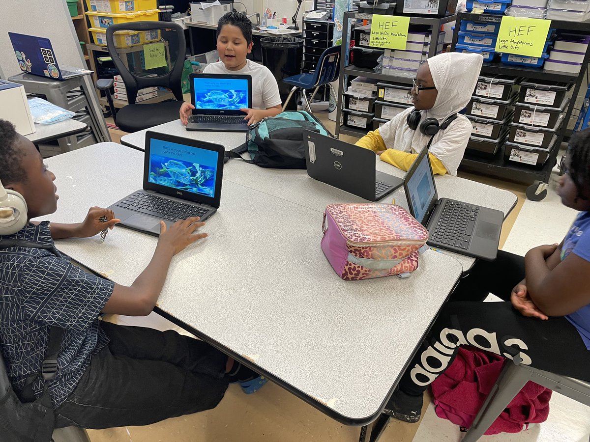 Rebecca Fischer tweet media