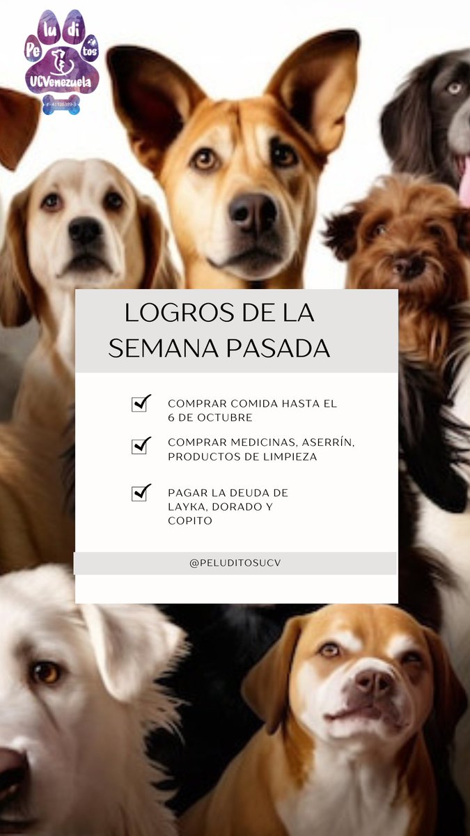 Esto fue la semana pasada