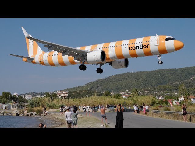 Think Planes tweet media