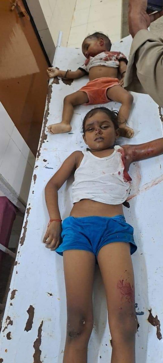 Shepherd Tiger Force India tweet media