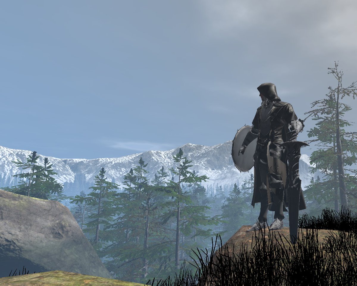 immortalcoil tweet media