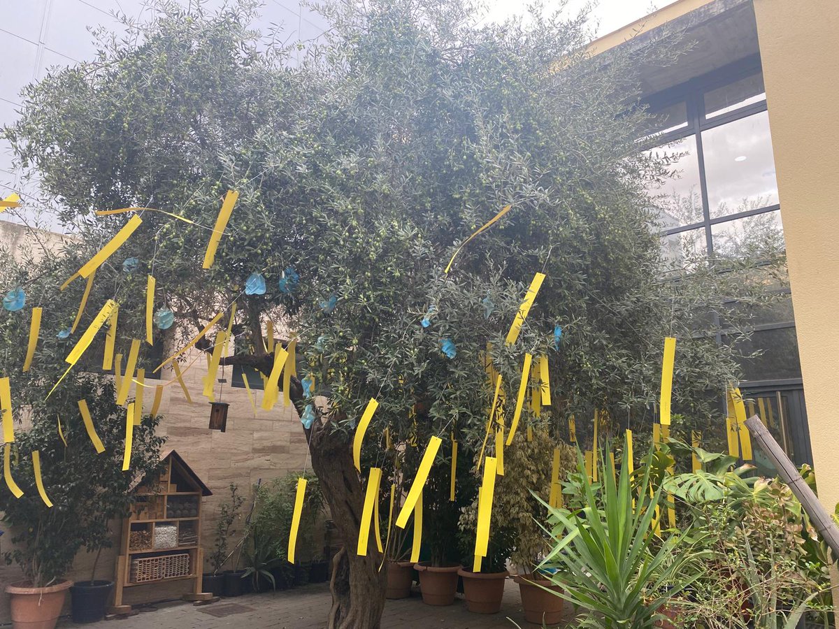 Una iniciativa muy interesante estas jornadas técnicas sobre el anillo verde del Este de #Sevilla junto con una exposición.
Gracias por la invitación a <a href="/TorreblancaVer3/">Torreblanca Verde</a> y por la labor de educación medioambiental que hacéis en #Torreblanca