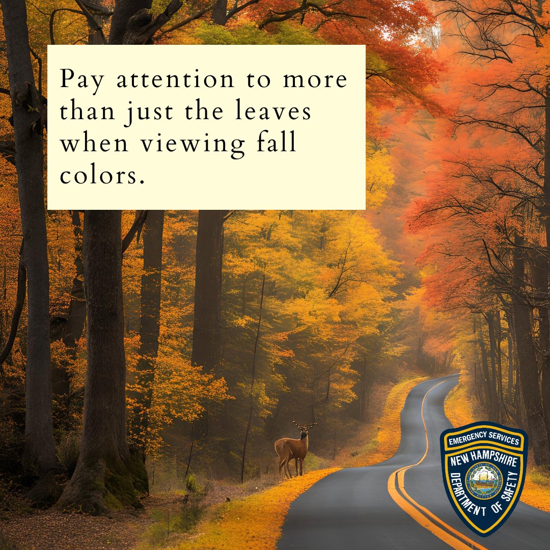 NewHampshire911's tweet photo. When enjoying our fall foliage this weekend, be sure to look at more than the leaves. Be aware of your surroundings when driving or walking. Drive with your eyes on the road; watch for wildlife and find a safe place to pull over to take in the view. #KnowYourLocation https://t.co/uJpRDlTnXG