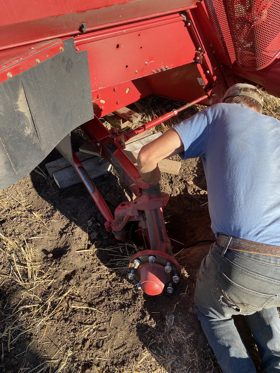 PrimroseRob's tweet image. #Harvest 2024 

Got it done last Friday for another year but didn’t end the way I planned. Couldn’t have happened on a flat spot. 

But then a lot of the frustration went away after tying into this beauty for finishing harvest celebrations. And a couple Rums slipped in.