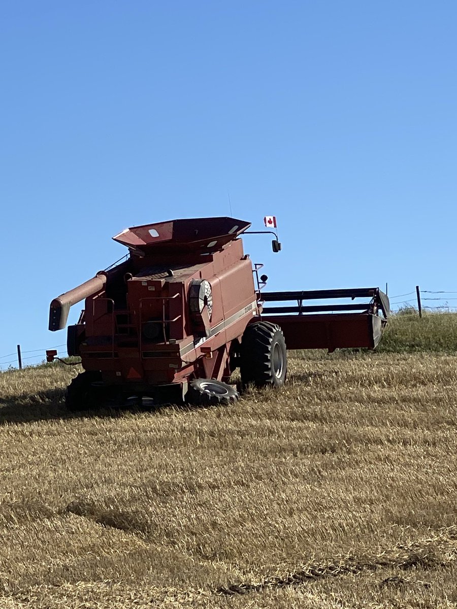 PrimroseRob's tweet image. #Harvest 2024 

Got it done last Friday for another year but didn’t end the way I planned. Couldn’t have happened on a flat spot. 

But then a lot of the frustration went away after tying into this beauty for finishing harvest celebrations. And a couple Rums slipped in.
