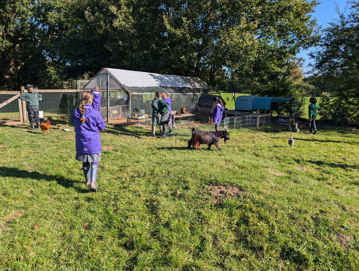 YH_SmallHolding's tweet image. A mindful smallholding club during morning break for #YorkHouseY5 and #YorkHouseY6 @YorkHouseSch #smallholding