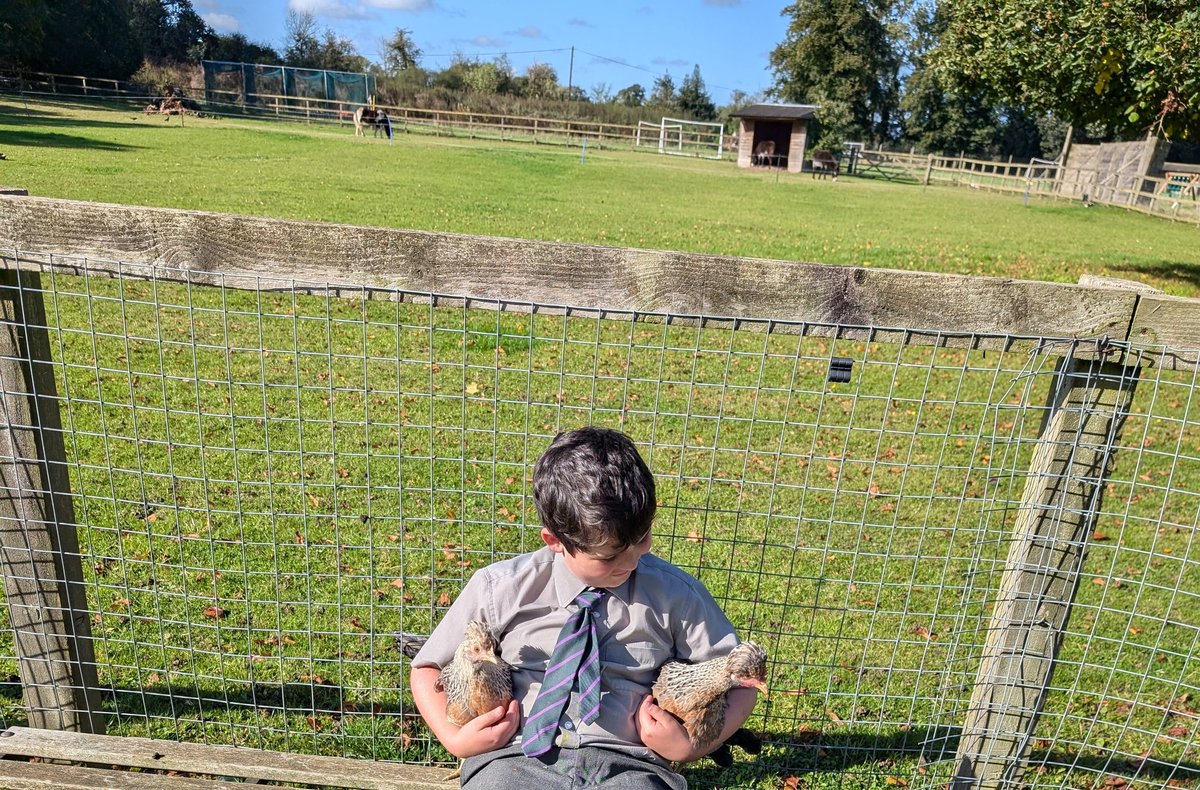 YH_SmallHolding's tweet image. A mindful smallholding club during morning break for #YorkHouseY5 and #YorkHouseY6 @YorkHouseSch #smallholding