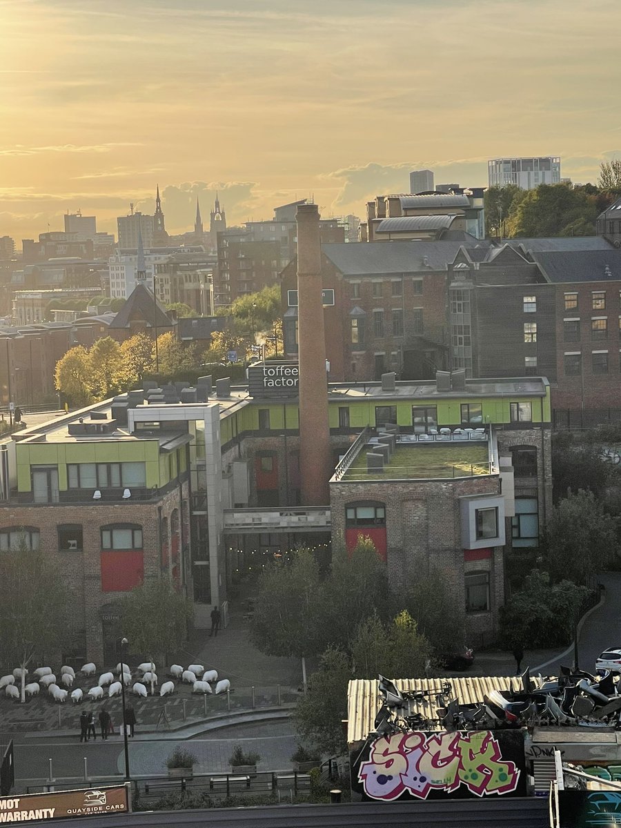 deborah johnson tweet media