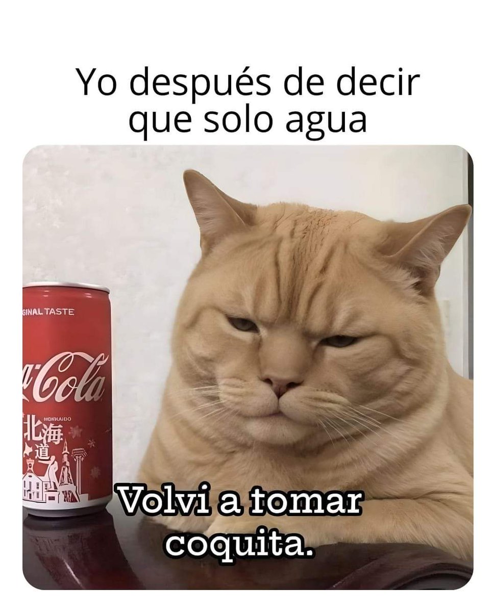 🤣🤣🤣