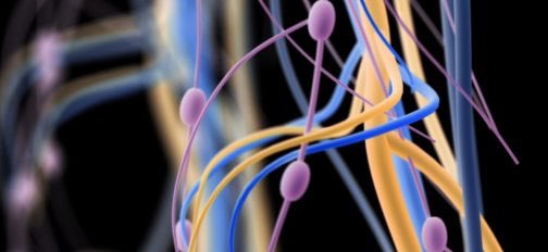 El linfedema, un efecto secundario poco conocido del cáncer de mama

omniprex.com/el-linfedema-u…