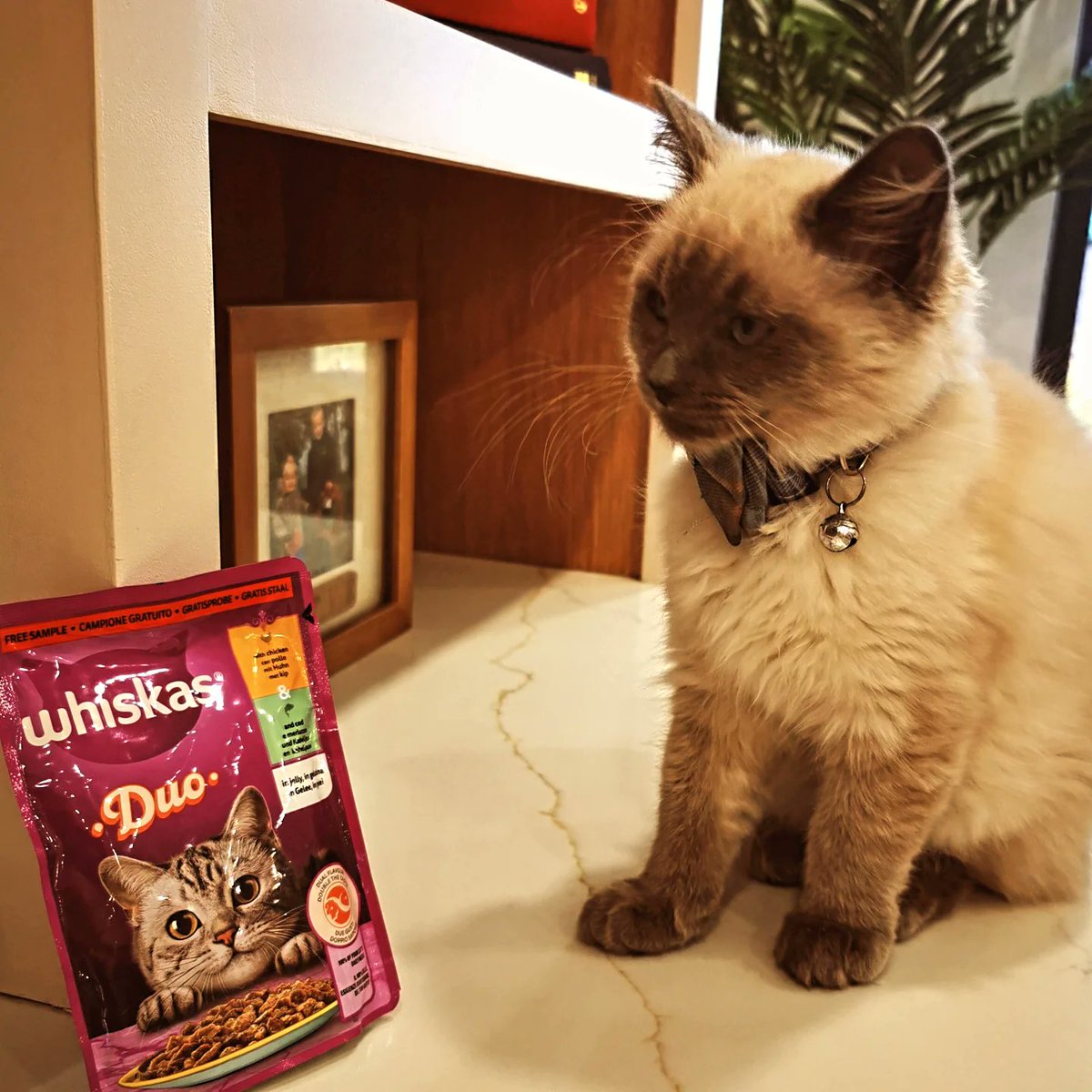 SkinnyLynne2 tweet media