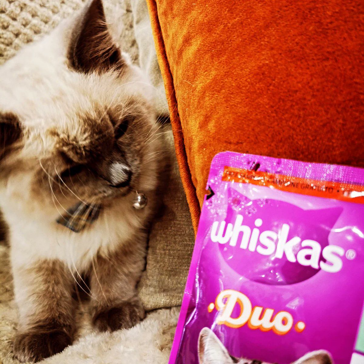 SkinnyLynne2 tweet media