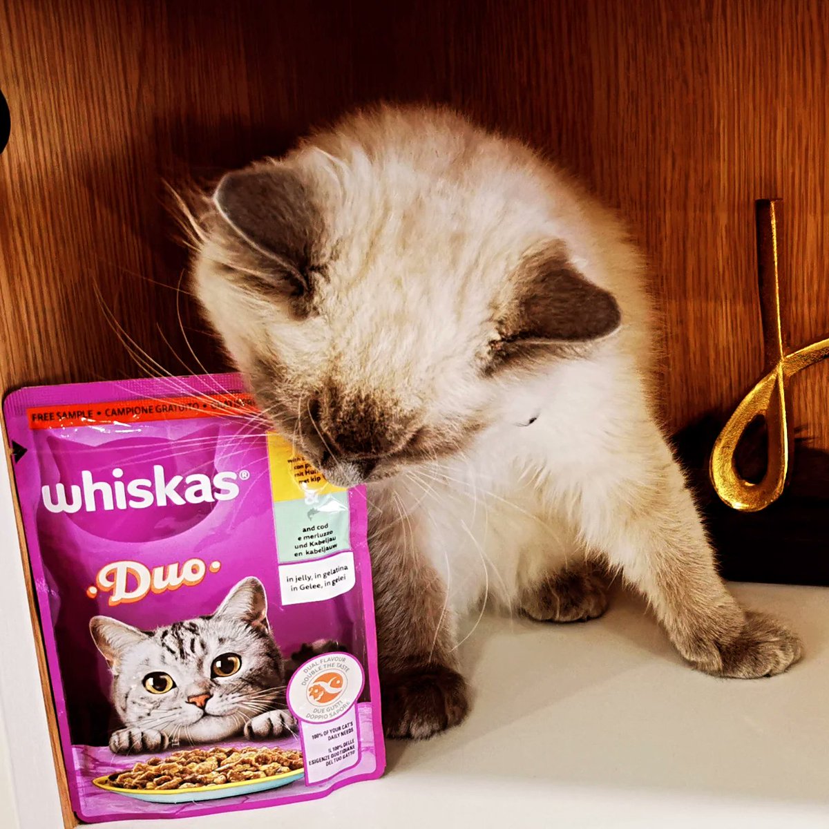 SkinnyLynne2 tweet media