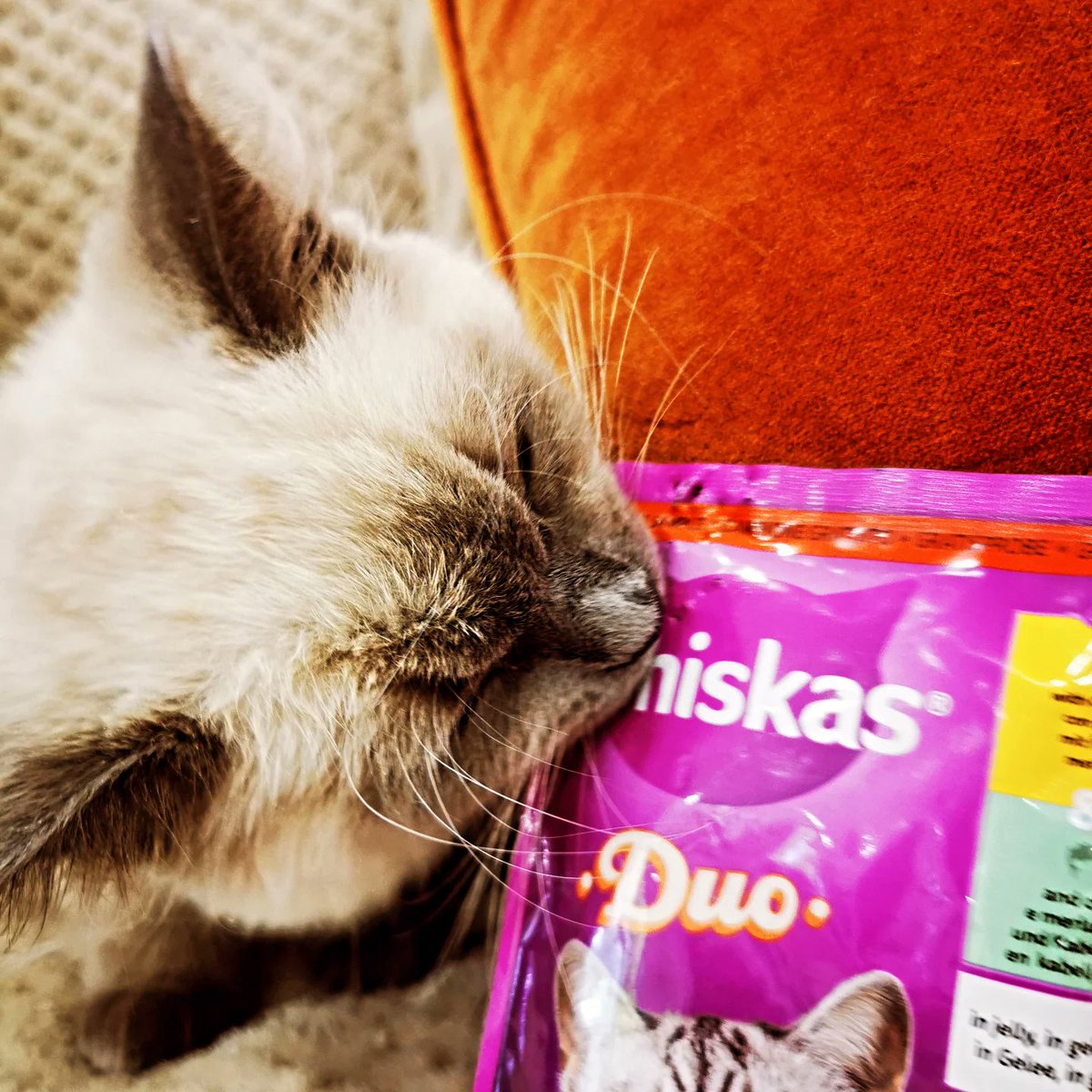 SkinnyLynne2 tweet media