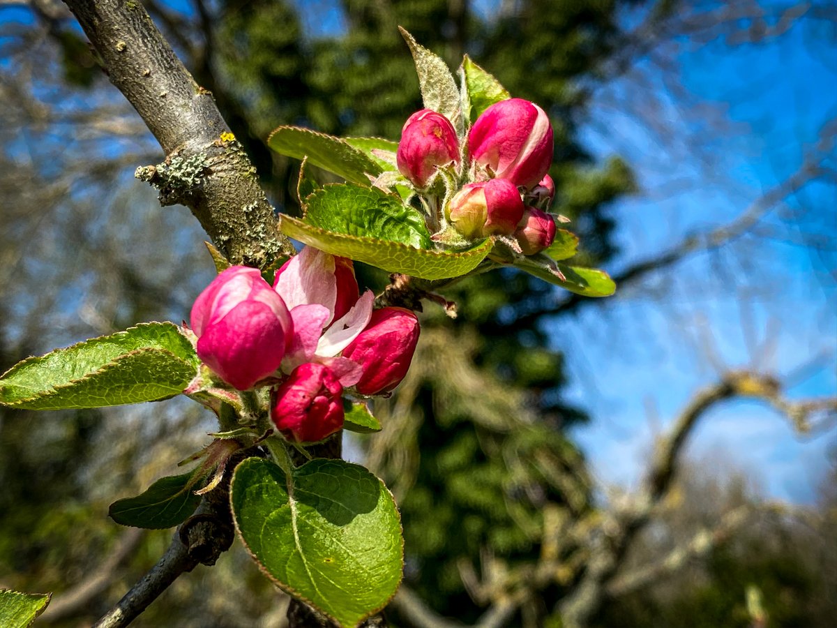 <a href="/DorsetWildlife/">Dorset Wildlife Trust</a> shared shocking statistics that 1 in 40 species previously present in Dorset are locally extinct. The charity runs a Nature Reserves Fund, ensuring its team can carry out critical work to enhance and expand nature reserves – turning the tide on nature’s decline.