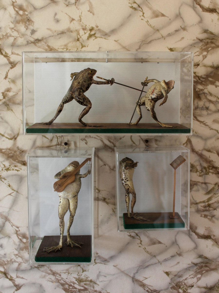 National Trust for Scotland (@n_t_s) on Twitter photo It's #ScottishMuseumsDay and this year's theme is tiny treasures. What's your favourite tiny treasure in our collections? We'll go first: Hill of Tarvit's fighting frogs in the upstairs bathroom. 🐸⚔️
#ForTheLoveOfScotland <a href="/ScottishMuseums/">Scottish Museums Federation</a> It's #ScottishMuseumsDay and this year's theme is tiny treasures. What's your favourite tiny treasure in our collections? We'll go first: Hill of Tarvit's fighting frogs in the upstairs bathroom. 🐸⚔️
#ForTheLoveOfScotland <a href="/ScottishMuseums/">Scottish Museums Federation</a>