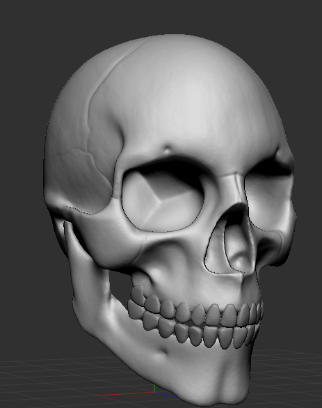 DevStxrms's tweet image. Hello guys, here&apos;s a quick showcase of a skull I sculpted for practice. 

Hope you will like it! Like and repost!

#Roblox #RobloxDev #3DModel #zbrush