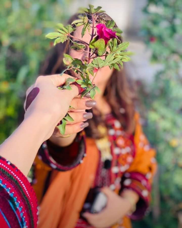 شنگ کاں شپ کاۓ