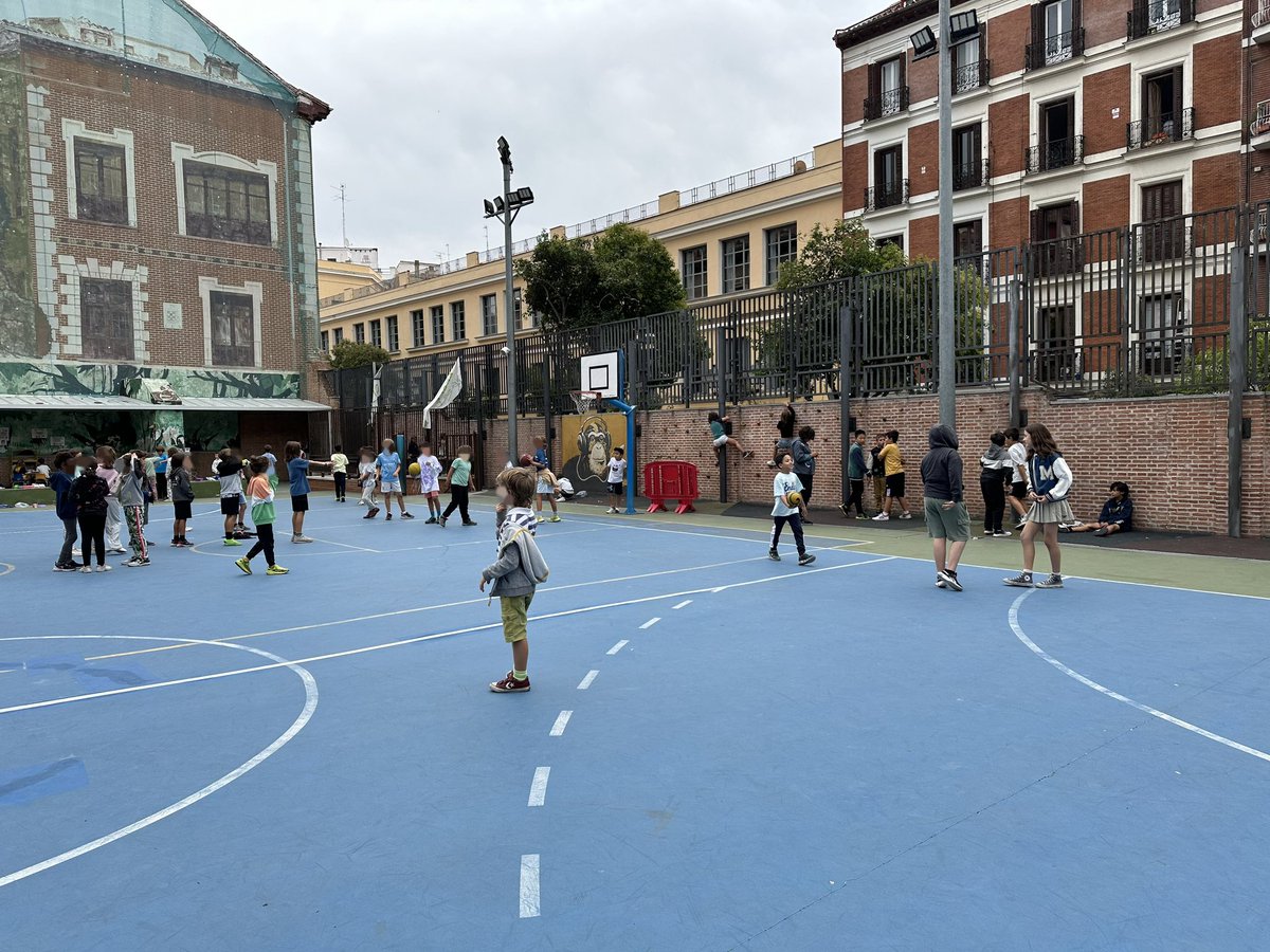CEIP La Paloma tweet media