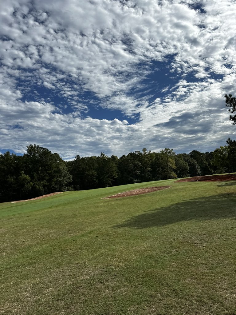 Georgia Riley tweet media