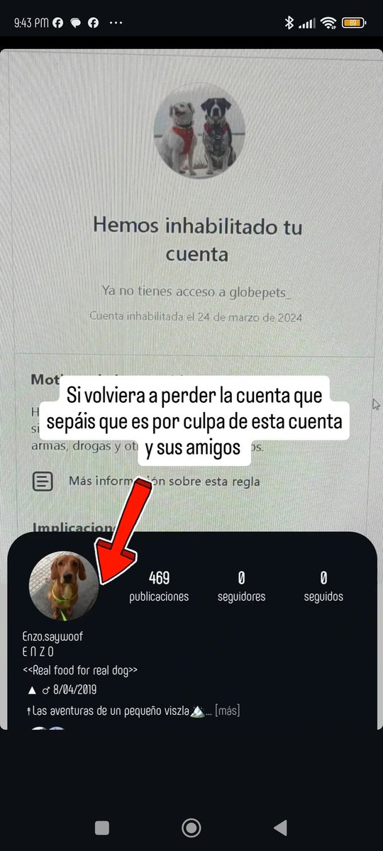 BelkaCruz's tweet photo. #Difundimos #AYUDA #instagram #cuenta #cuidado https://t.co/g8haV6sKV6