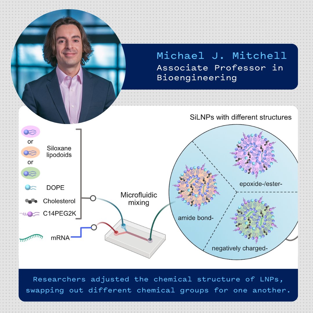 Penn Engineering (@pennengineers) on Twitter photo Imagine a future where medicine sends treatments exactly where they’re needed. <a href="/MJMitchell_Lab/">Mike Mitchell</a> & <a href="/Lulu_Xuee/">Lulu Xue, Ph.D</a> of <a href="/pennbioeng/">Penn Bioengineering</a> have developed siloxane-enhanced nanoparticles (SiLNPs) to transform personalized medicine & gene therapy. bit.ly/4dtraIg Imagine a future where medicine sends treatments exactly where they’re needed. <a href="/MJMitchell_Lab/">Mike Mitchell</a> & <a href="/Lulu_Xuee/">Lulu Xue, Ph.D</a> of <a href="/pennbioeng/">Penn Bioengineering</a> have developed siloxane-enhanced nanoparticles (SiLNPs) to transform personalized medicine & gene therapy. bit.ly/4dtraIg