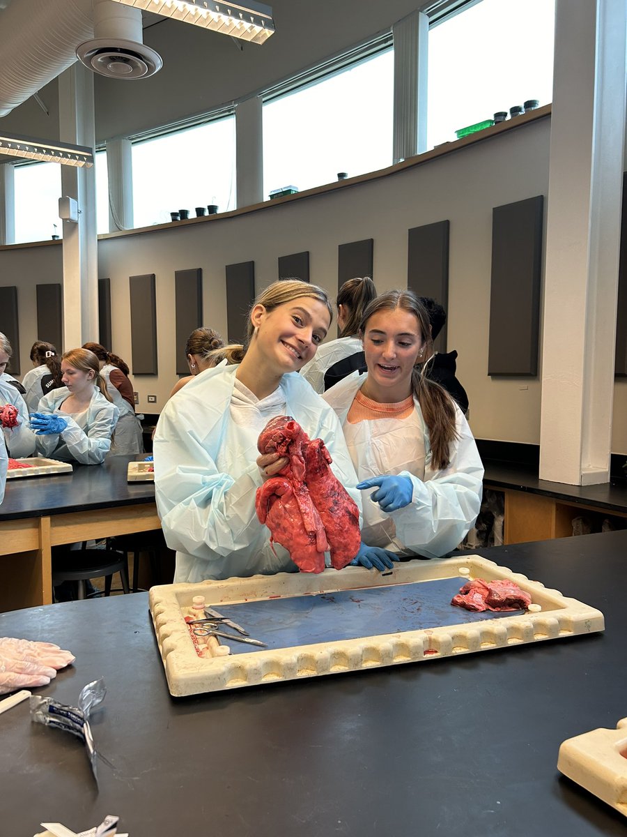 This morning, Pile’s EMT class was joined by Roulo’s anatomy &amp; physiology class. students dissected donated pig plucks (identifying Tongue, Epiglottis larynx, trachea, Bronchi, Bronchioles, lungs, esophagus, heart) Will be pairing up again to dissect the heart anatomy.