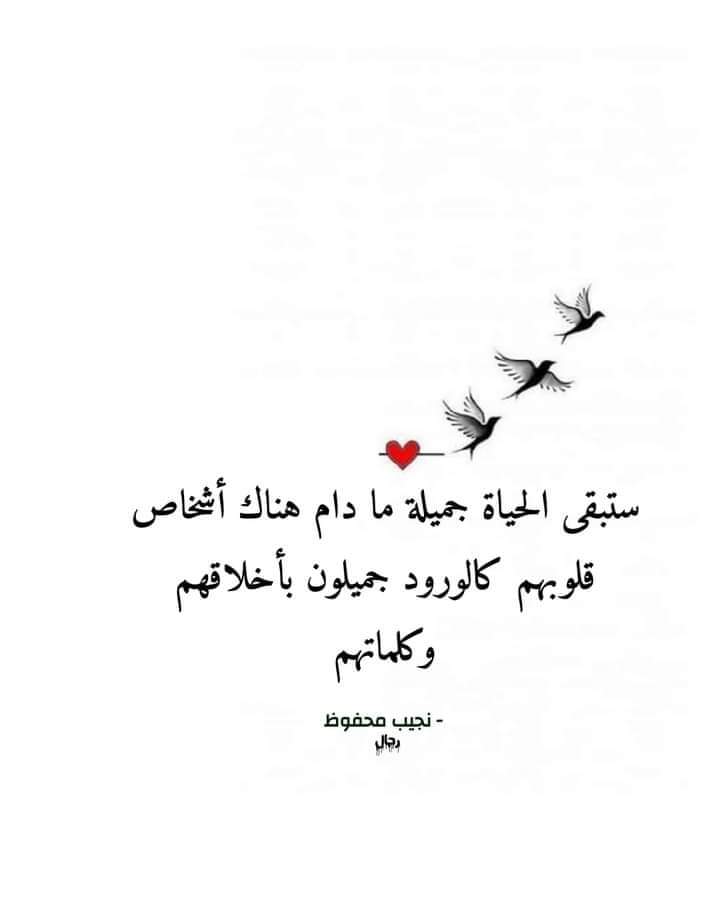 cloud56_'s tweet photo. @cloud56_ https://t.co/tQt9cVoYy2