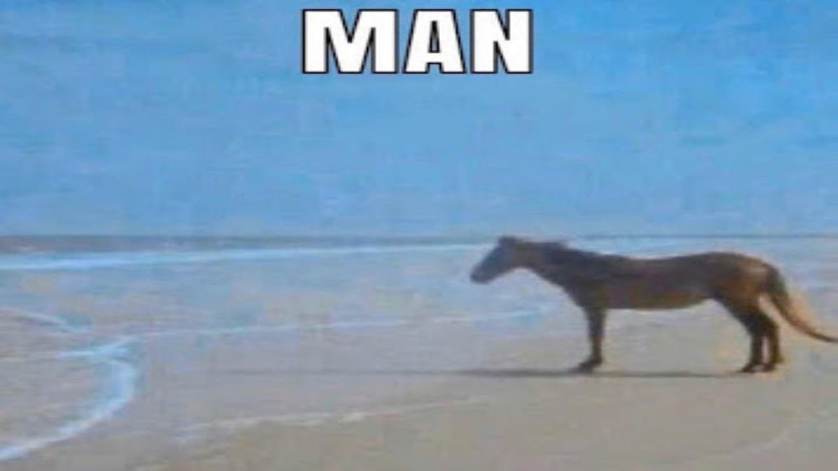 ZSeabeard 🦆 tweet media