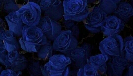 𝓑𝓵𝓪𝓲𝓭𝓭𝔂𝓭🔞 (@txmpest_king) on Twitter photo 