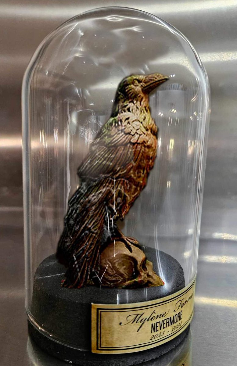 The Wonderful World Of Ethae🎈 tweet media