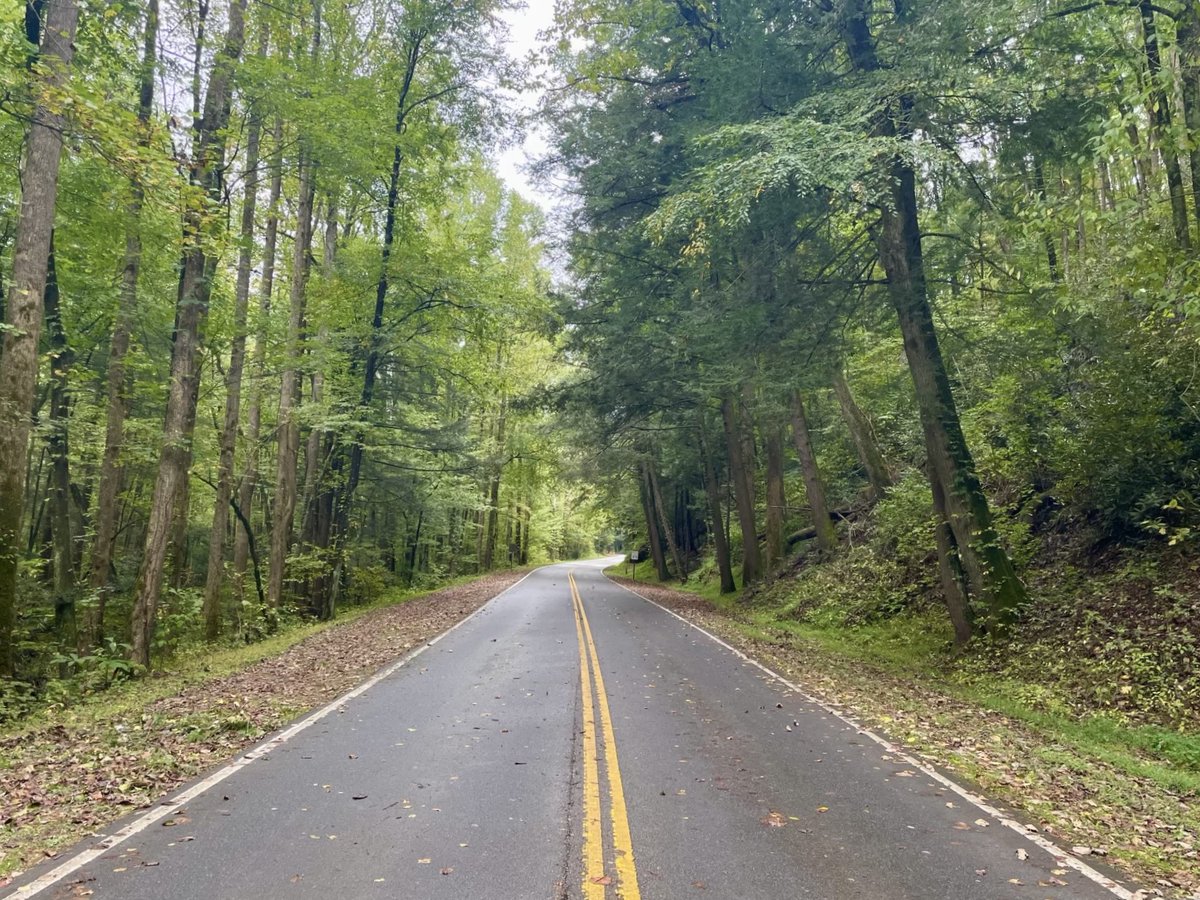 SmokiesRoadsNPS's tweet photo. News Release—The NPS will reopen US 441/Newfound Gap Road by 8 a.m. tomorrow (Wednesday) to allow for access between TN and NC communities.

Once US 441 reopens, all major roads and trails on the TN-side of park are open.

Full news release: https://t.co/Zi47oT4XL3 https://t.co/1wzcAVgH8x