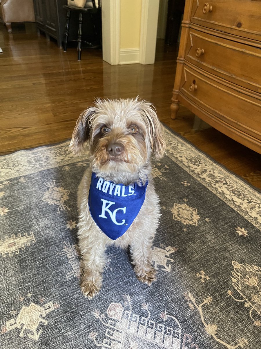 I am ready for some #baseball #postseason #mlb #royals ⁦<a href="/Royals/">Kansas City Royals</a>⁩