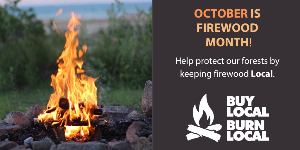 🔥October is #FirewoodMonth! 🔥

As the weather cools and we gather around cozy fires, don't forget to #BuyLocalBurnLocal this fall! 

By only burning local or certified heat-treated firewood, you are helping protect Canada's forests from destructive invasive species.