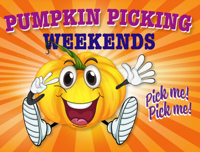 🎉 Aviator Sports October 2024 Newsletter: Get Ready for Action!
From basketball to soccer, hockey to gymnastics—Aviator Sports has got a variety of classes going on this October! 

👉 mailchi.mp/aviatorsports/…