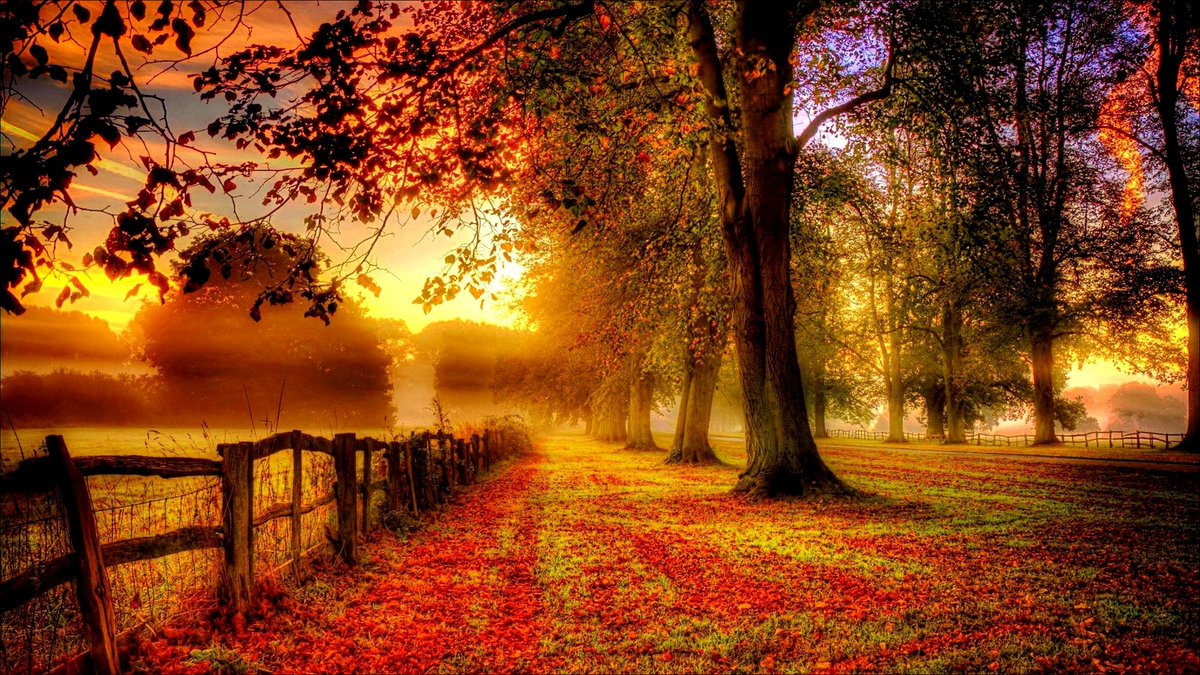 Paul_ASD's tweet photo. Hello Autumn! 🍂 https://t.co/VZRaa5dRK9