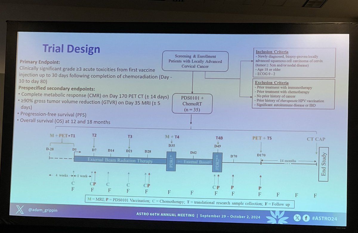 ACKoongMDPhD's tweet image. Promising initial results of IMMUNOCERV vaccine study in cervical cancer reported by ⁦@adam_grippin⁩ from ⁦@MDAndersonNews⁩. #endcancer #radonc