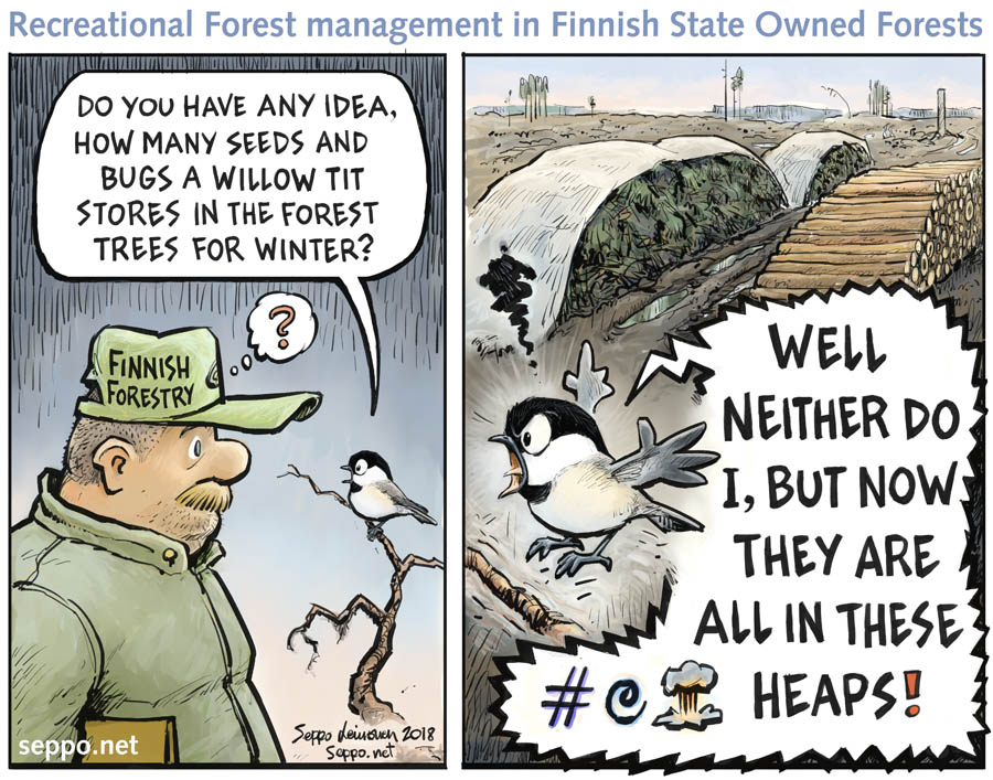 sepponet's tweet photo. #WillowTit has become #endagered in Finland!
#ClearCutting &amp; #thinning on #forest reduce &amp; fragment the available #wintering #habitat, thus reducing #winter territory quality &amp; the amount of #food resources, i.e. the carrying capacity of the environment.
https://t.co/imlwxrPwWV https://t.co/d4VZ5PpV4B
