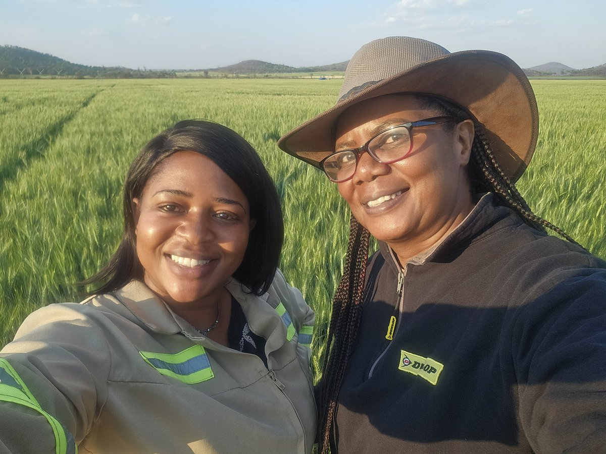 WendyMadzura's tweet photo. ๐ A few nuggets for that late planted wheat block that still needs pamperingโฆ #SCSelect ๐พ ๐
#ItStartsWithTheRightSeed https://t.co/jtyzGlB6oQ