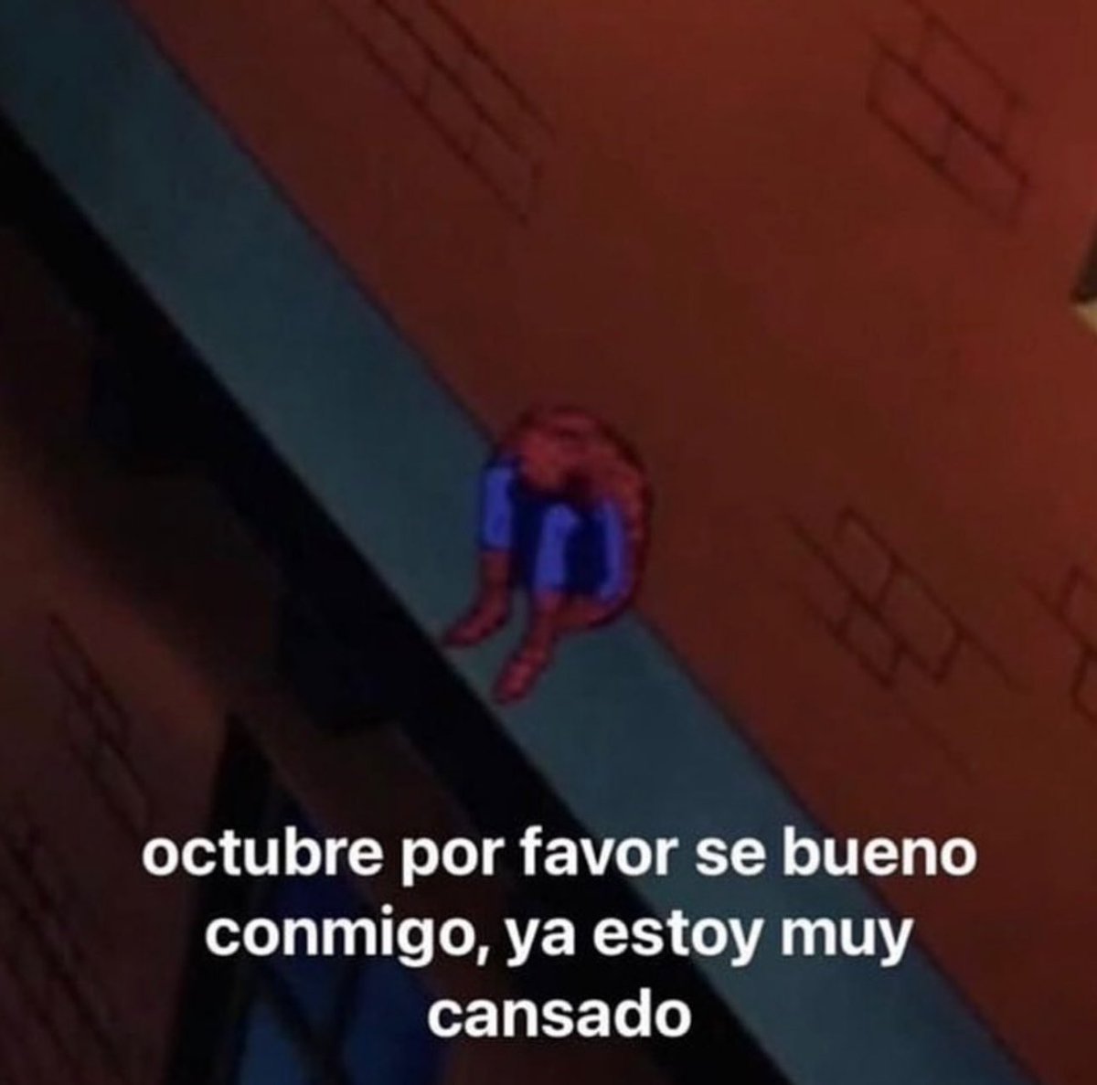 CdeCriptoz's tweet photo. Estamos cansados jefe https://t.co/moTWksWdvV