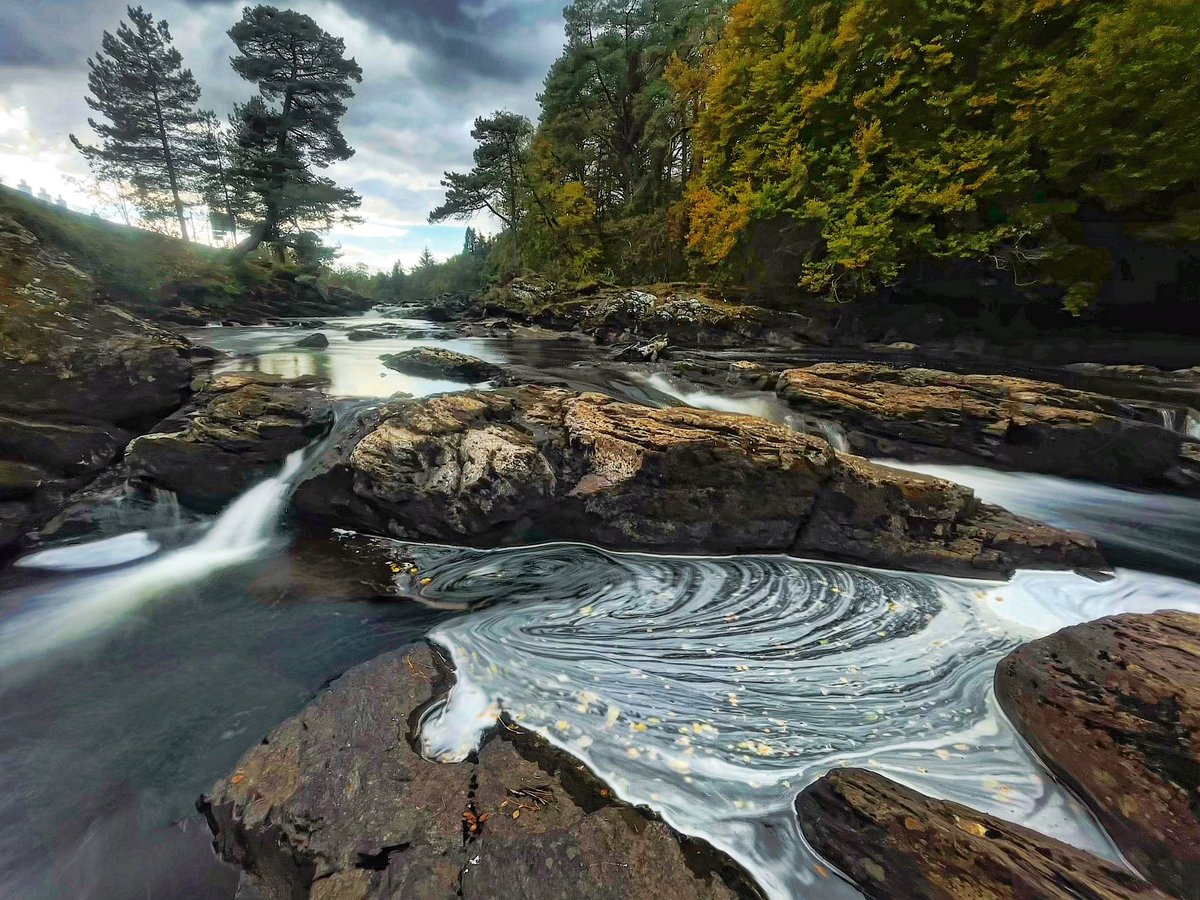 Jane Barlow tweet media