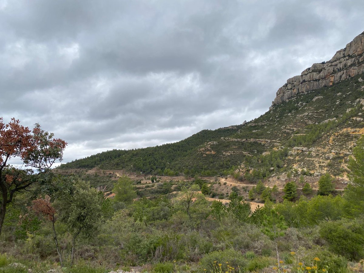 ADF 089 La Morera De Montsant (@adflamorera089) on Twitter photo Aquest any conjuntament amb l'Ajuntament del municipi hem invertit més de 30.000€ en prevenció d'incendis i gestió forestal.
Aquestes actuacions eviten la propagació de grans incendis creant zones segures per poder actuar-hi i obrint zones de pastura.
<a href="/Dipta_cat/">Diputació de Tarragona</a> <a href="/CCPriorat/">Consell Comarcal del Priorat</a> Aquest any conjuntament amb l'Ajuntament del municipi hem invertit més de 30.000€ en prevenció d'incendis i gestió forestal.
Aquestes actuacions eviten la propagació de grans incendis creant zones segures per poder actuar-hi i obrint zones de pastura.
<a href="/Dipta_cat/">Diputació de Tarragona</a> <a href="/CCPriorat/">Consell Comarcal del Priorat</a>