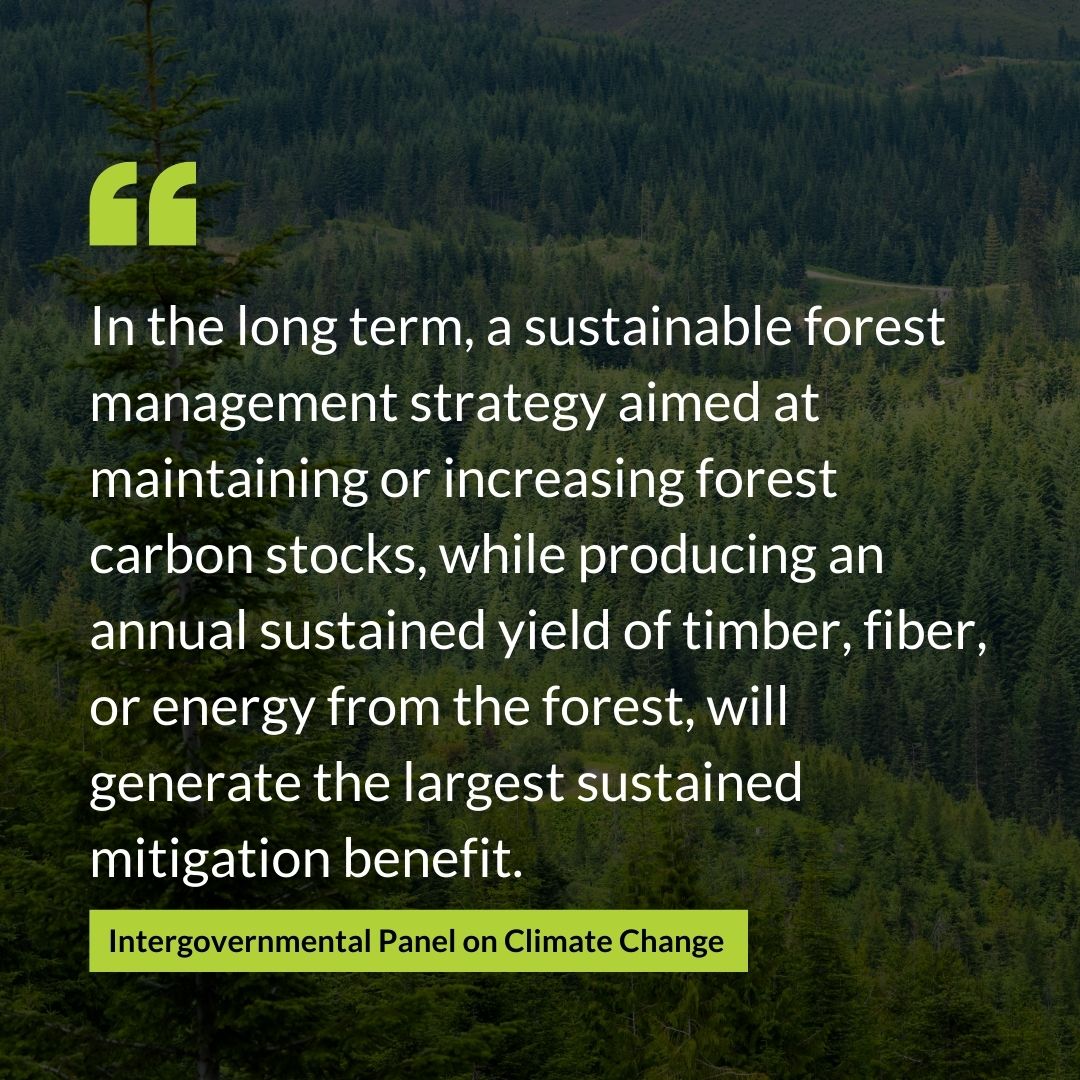 Modern, sustainable forest management leads to climate-smart outcomes in working forests.

NAFO members proudly embrace a dynamic and adaptable approach to forest management that includes optimizing carbon sequestration, storage, resilience, and the various other benefits that